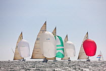 Yachts racing under spinnaker at the 12 Metre World Championships, Newport, Rhode Island, USA. September 2009.