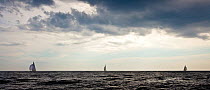 Distant yachts, 12 Metre World Championships, Newport, Rhode Island, USA. September 2009.
