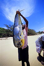 Fisherman holds Dolphin fish / Dorado (Coryphaena hippurus) caught with rod and reel. Tofo, Mozambique, November 2008