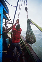 Fishermen pulling up a net full of shrimp and bycatch onboard semi-industrial shrimp dragger. Maputo, Mozambique, November 2008