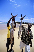 Fishermen with Barracuda caught with rod and reel, Tofo, Mozambique, November 2008
