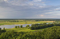 Elbe river, Elbe Biosphere Reserve, Lower Saxony, Germany, July 2008