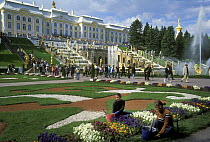 The Grand Cascade of fountains and Park at Peterhof / Petergof Palace, Petergoff (Petrodvorets), St Petersburg, Russia, June 2007