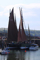 Traditional sail powered Herring drifters "Reaper" and "Swan" moored in Portsoy harbour for the annual boat festival, Moray Firth, Scotland, July 2009.