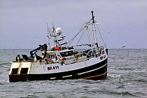 Banff registered fishing vessel "Beryl" trawling on the North Sea Haddock fishery. July 2009.