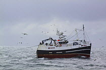 Fishing vessel "Beryl" trawling on the North Sea, July 2009.