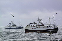 Banff registered pair trawlers "Beryl" and "Onward" fishing for Haddock on the North Sea, July 2009.