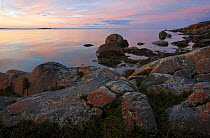Inlet shore of the White Sea, Karelia, N Russia in the midnight sun, July 2008