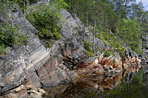 Rocky shore of an inlet of the White Sea, Karelia, N Russia, July 2009
