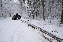 Tractor pulling cut tree through forest in snow, Bialowieza NP, Poland, February 2009