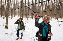 Researchers collecting data on bison, Bialowieza NP, Poland, February 2009
