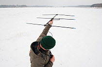 Researcher collecting data on bison, Bialowieza NP, Poland, February 2009