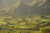 Cultivated fields in valley, Pollino National Park, Basilicata, Italy, November 2008