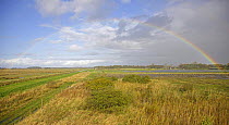Rainbow over wetlands of Martin Mere WWT reserve, Lancashire, UK, October 2008