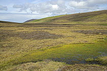 Boggy moorland, nr Grimister, Yell, Shetland Islands, Scotland, UK, May 2006