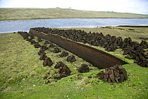 Peat dug for fuel, Yell, Shetland Islands, Scotland, UK, June 2006