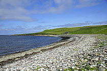 Pebble beach on west coast of Unst, Shetland Islands, Scotland, UK, June 2006