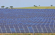RF- Mass of solar panels, La Serena, Extremadura, Spain. April 2009. (This image may be licensed either as rights managed or royalty free.)