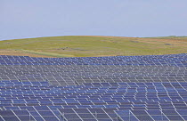 Mass of Solar panels, La Serena, Extremadura, Spain, April 2009