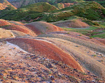 Colourful rolling hills along the border region to Azerbaijan, David Gareji Nature Reserve, Georgia, May 2008