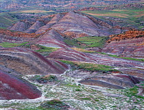 Colourful rolling hills along the border region to Azerbaijan, David Gareji Nature Reserve, Georgia, May 2008 WWE BOOK PLATE.