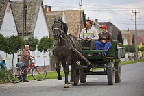 Horse pulling cart, Mohacs, Béda-Karapancsa, Duna Drava NP, Hungary, September 2008