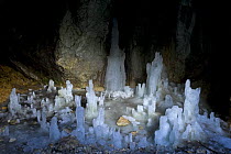 Ice formations in Ledena Pecina (an ice cave) inside Obla Glava (Rounded head peak) Durmitor NP, Montenegro, October 2008