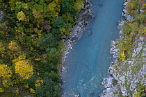 Tara River viewed from bridge, Tara Canyon, Durmitor NP, Montenegro, October 2008
