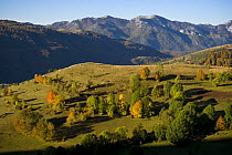 Komarnica Canyon landscape, Durmitor NP, Montenegro, October 2008