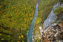 Tara Canyon from Djurdjevica bridge, Durmitor NP, Montenegro, October 2008