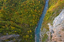 Tara Canyon viewed from Djurdjevica Bridge, Durmitor NP, Montenegro, October 2008 WWE BOOK PLATE.