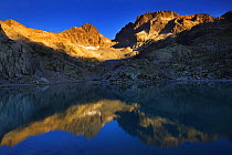 Aiguilles Rouges mountains reflected in Lac Blanc at sunrise, Haute Savoie, France, Europe, September 2008
