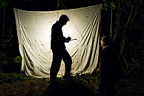 Entomologist examining sheet with moths attracted to lamp, Fliess, Naturpark Kaunergrat, Tirol, Austria, July 2008