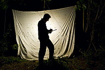 Entomologist examining sheet with moths attracted to lamp, Fliess, Naturpark Kaunergrat, Tirol, Austria, July 2008