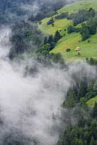 Cut meadows with small barns above forests,  clouds below, near Fliess, Naturpark Kaunergrat, Tirol, Austria, July 2008