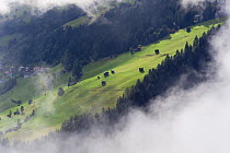 View into the valley around Fliess from Kaunergrat visitor's centre, Naturpark Kaunergrat, Tirol, Austria, July 2008