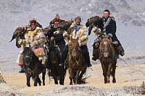 Eagle hunters with golden eagles (Aquila chrysaetos) on route to the Eagle Hunters festival near Ulgii Western Mongolia, October 2009. Winner of the Indigenous Cultures Award in Nature's Best Competit...