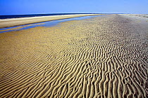 Patterns in the sand, Japsand, Schleswig-Holstein Wadden Sea National Park, Germany, April 2009