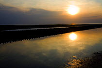 Sunset over the sea, Westerhever, Germany, April 2009