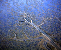 Aerial view of coastal landscape at low tide with channels and pools, Hallig, Germany, April 2009