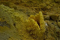 Vent of a sulphurous fumarole (solfatara) Vulcano, Aeolian Islands, Italy, May 2009