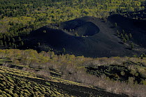 Old cone in the "Valley del Bove" the eastern side of Mount Etna Volcano, Sicily, Italy, May 2009