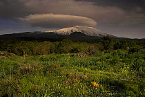 Western side of Mount Etna volcano, Sicily, Italy, May 2009