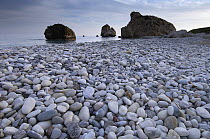 Petra tou Romiou (Aphrodite's Rock) Pissouri Bay pebble beach, near Paphos, Cyprus, March 2009