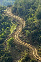 Unpaved road in Troodos mountains, April 2009