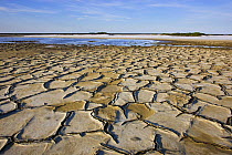 Drought patterns in salt pan near Salin-de-Giraud, Camargue, France, May 2009