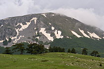 Mountain with patches of snow on it, low clouds, Pollino National Park, Basilicata, Italy, May 2009