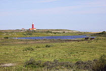 Eierland Lighthouse, Texel, Netherlands, May 2009