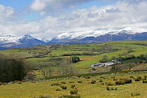 Hill farmland near Llanrwst looking West towards the Snowdon mountain range, North Wales, UK, April 2008