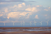 Wind turbines, part of an offshore windfarm, Liverpool Bay in evening light, November 2008